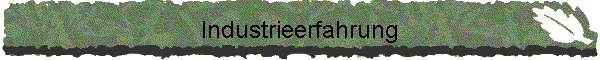 Industrieerfahrung